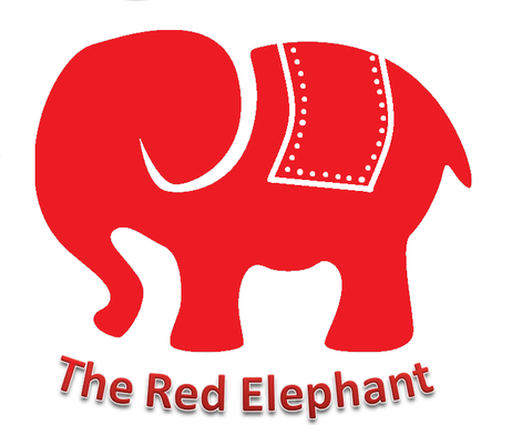 The Red Elephant Foundation - Girls Not Brides